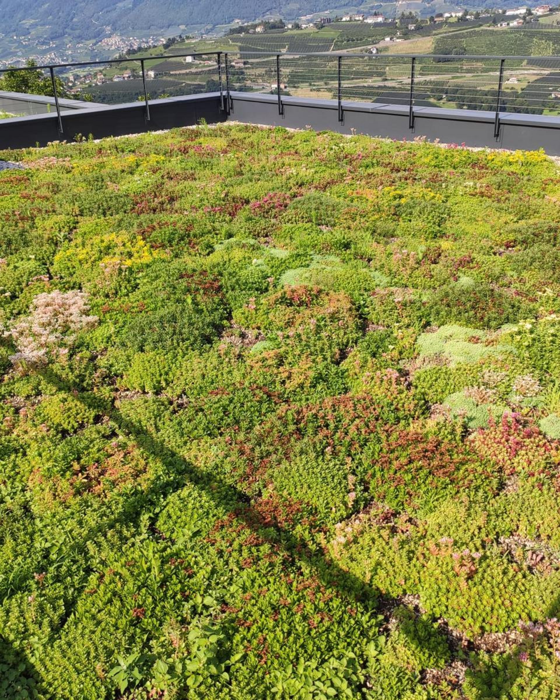 Hotel Napura in Terlan Hotel Napura in Terlan