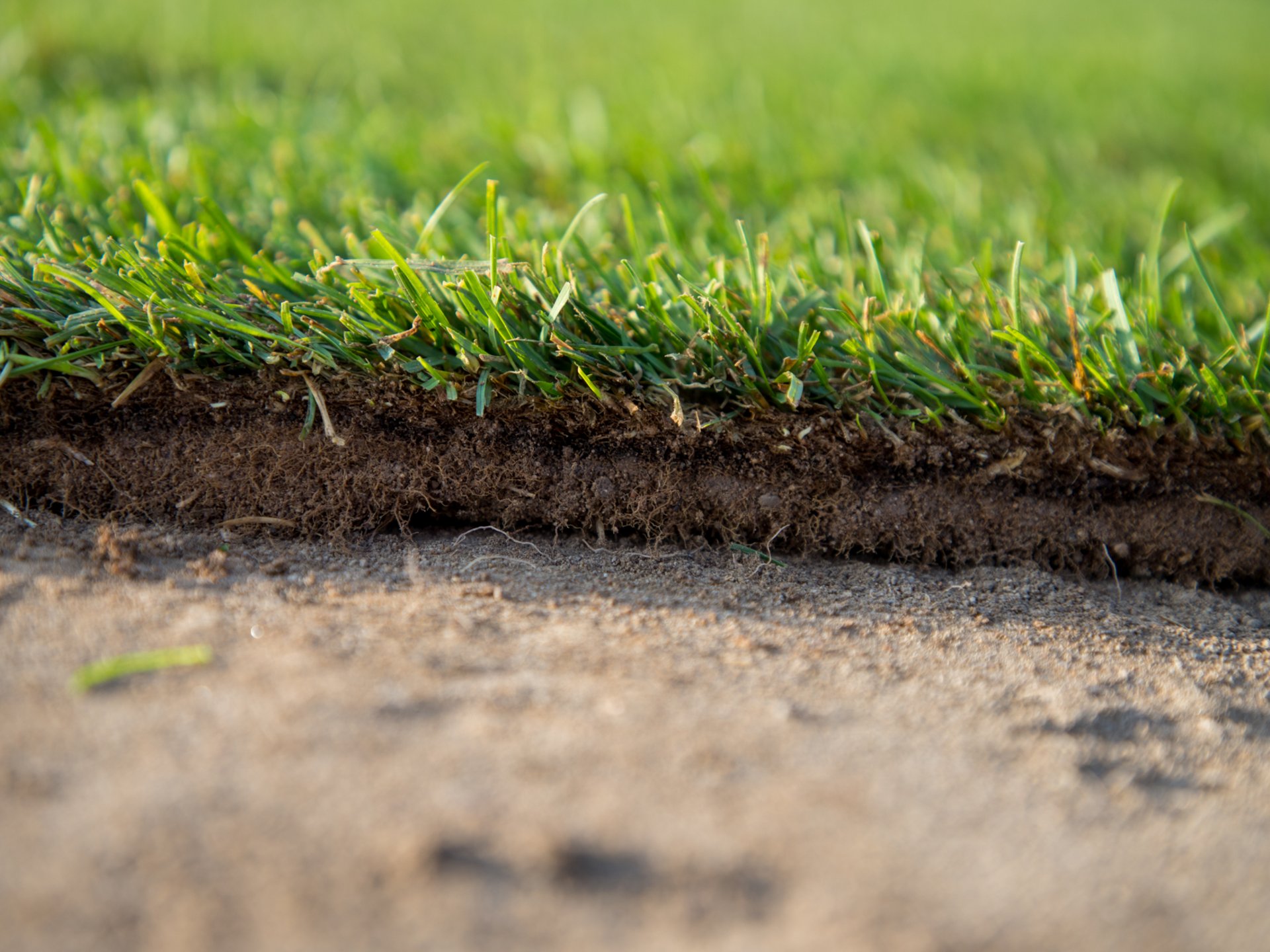 Vuoi conoscere il costo del prato a rotoli? Vuoi conoscere il costo del prato a rotoli?