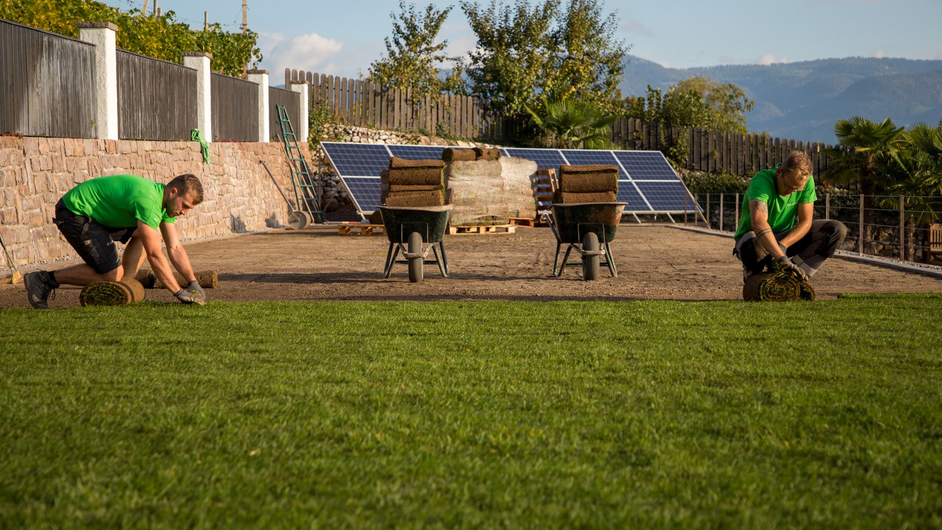 Vuoi conoscere il costo del prato a rotoli? Vuoi conoscere il costo del prato a rotoli?