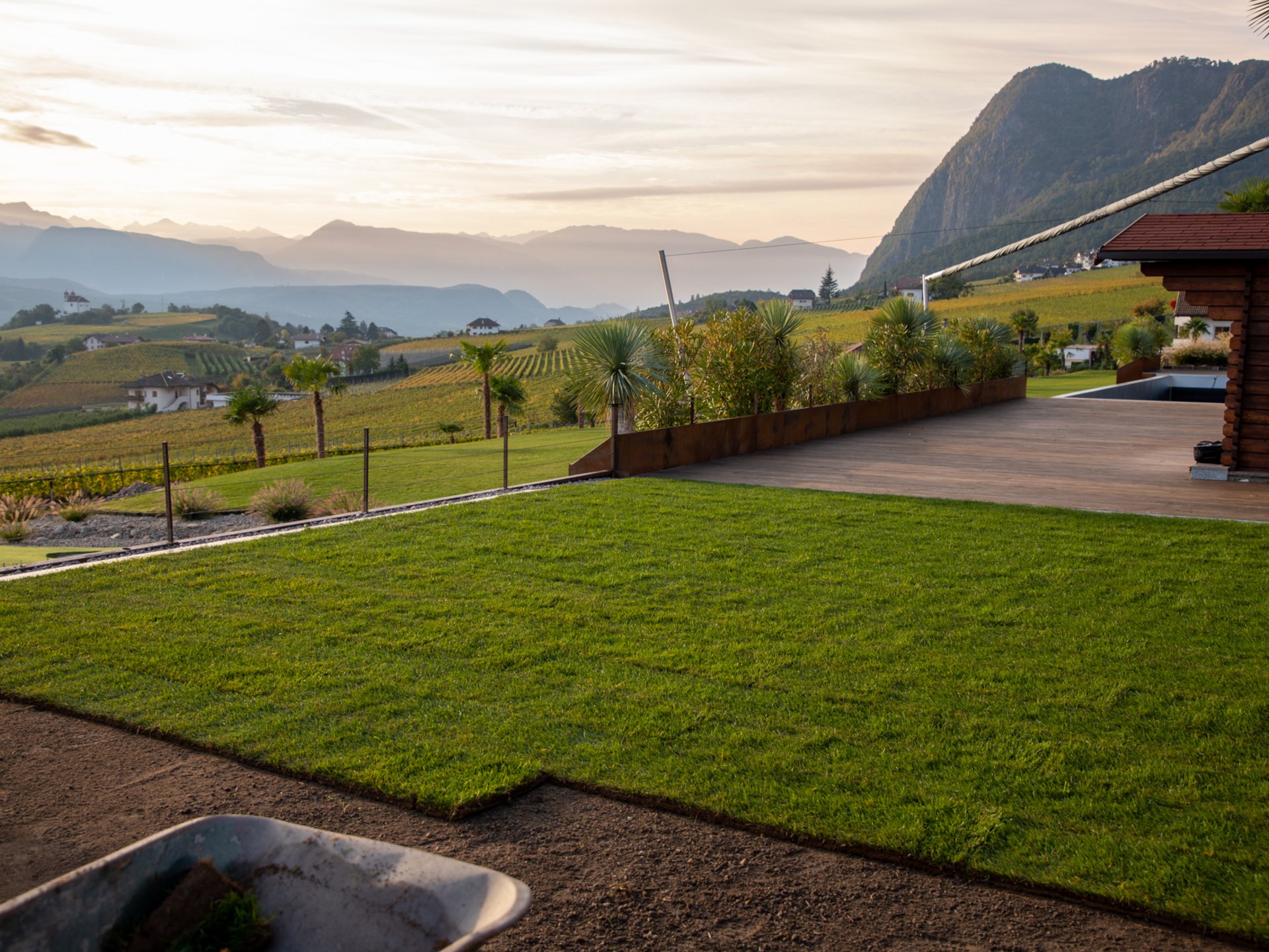 Vuoi conoscere il costo del prato a rotoli? Vuoi conoscere il costo del prato a rotoli?