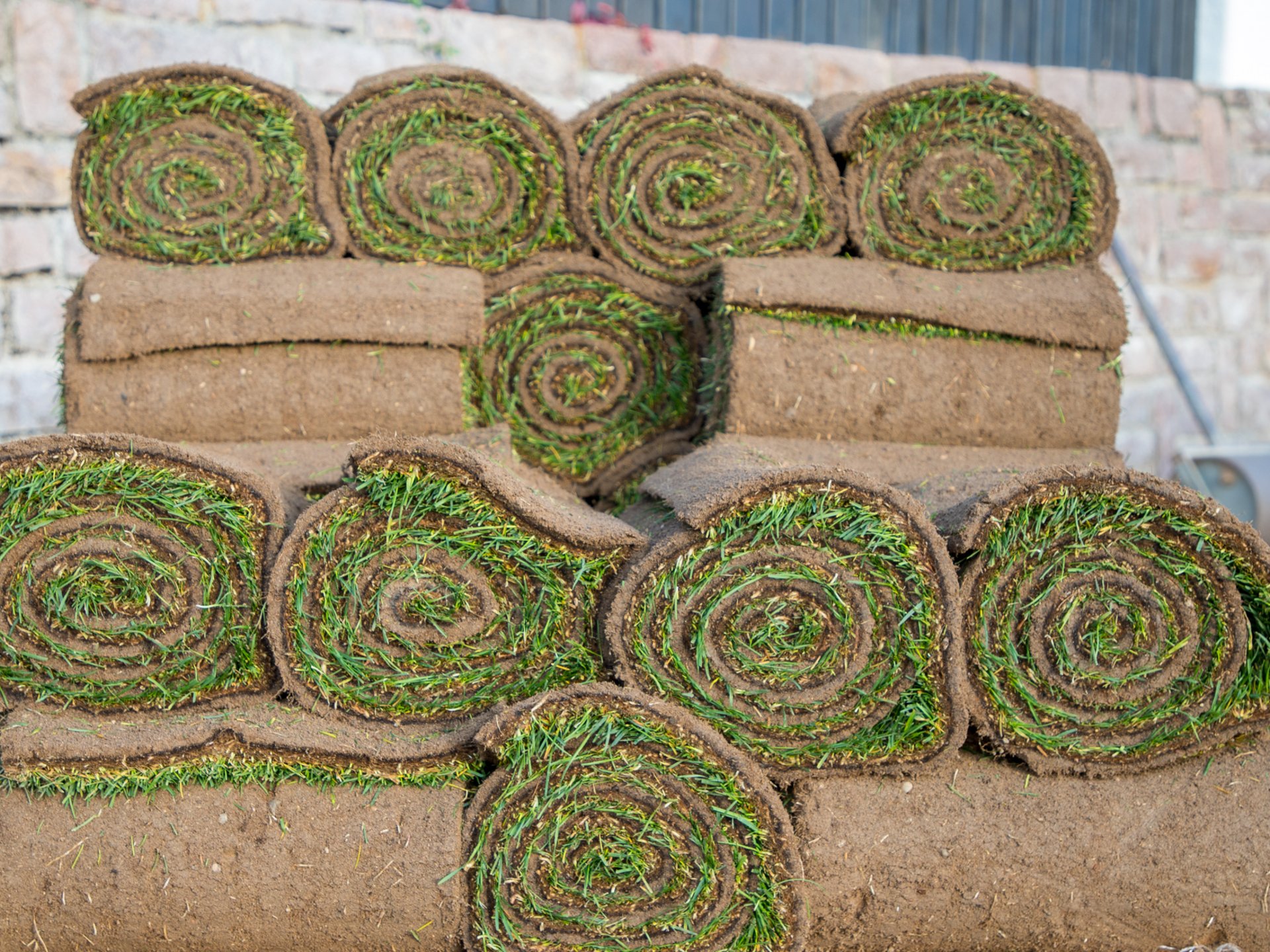 Vuoi conoscere il costo del prato a rotoli? Vuoi conoscere il costo del prato a rotoli?