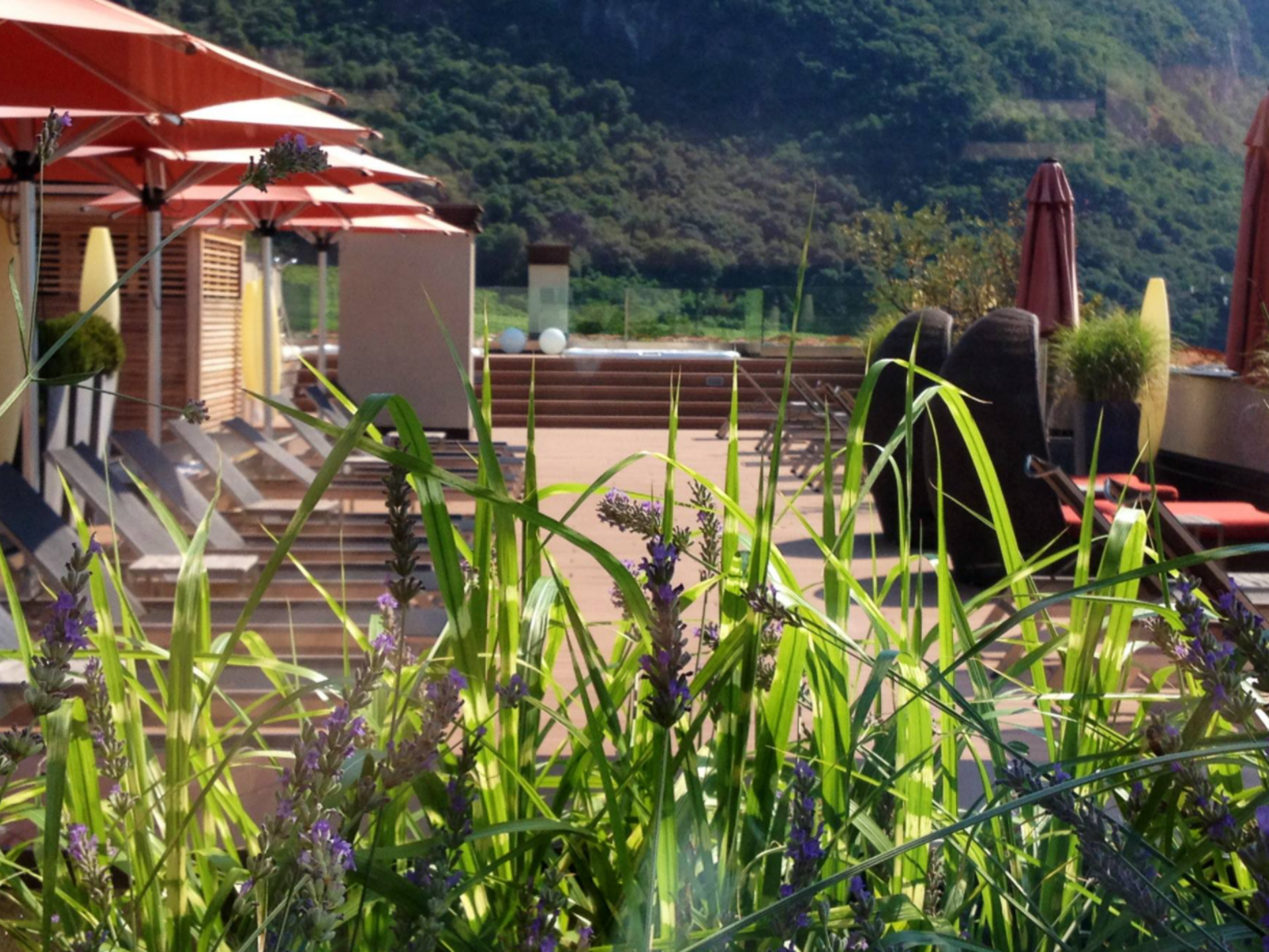 Hotel Napura in Terlan Hotel Napura in Terlan