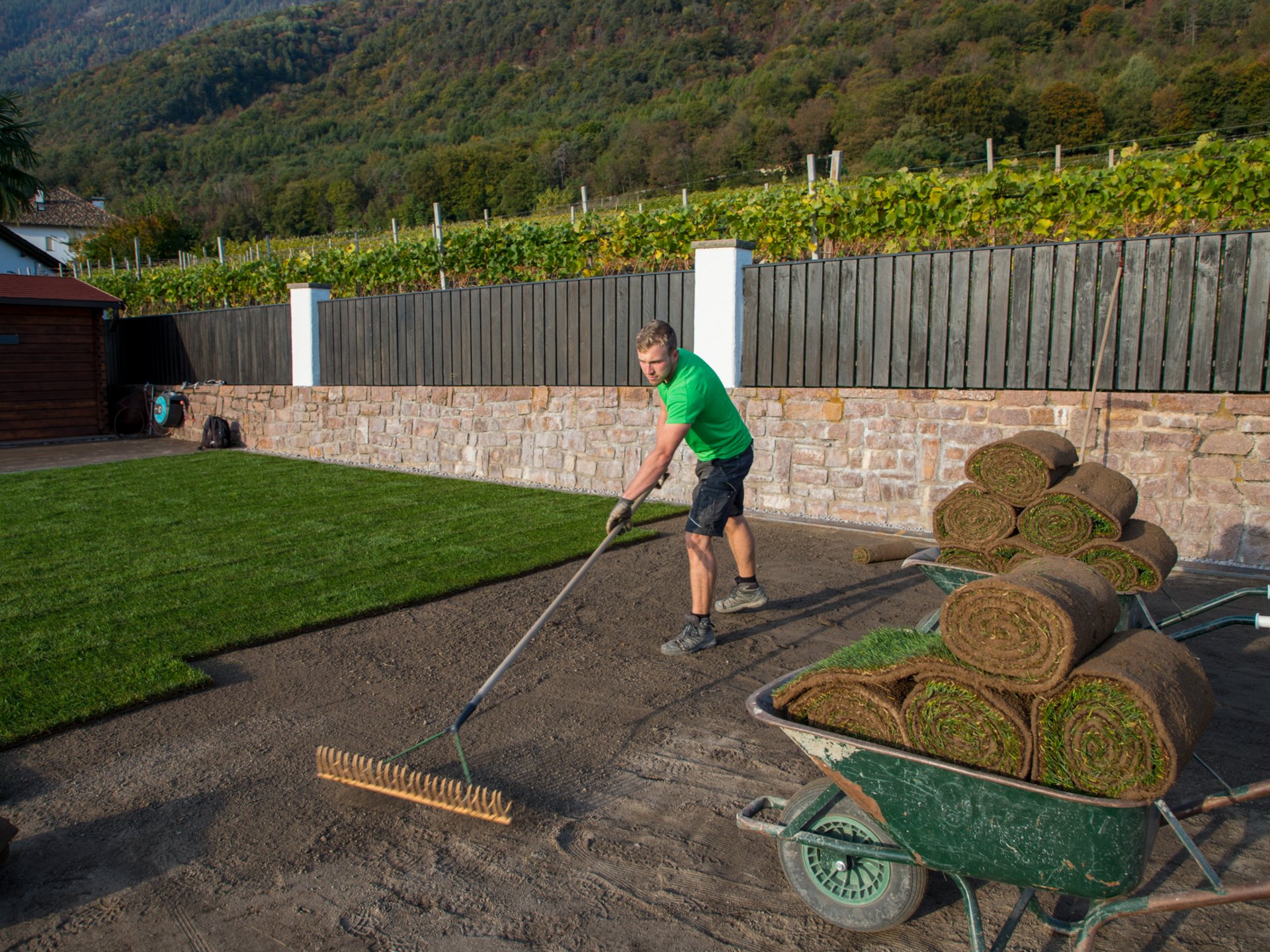 Vuoi conoscere il costo del prato a rotoli? Vuoi conoscere il costo del prato a rotoli?
